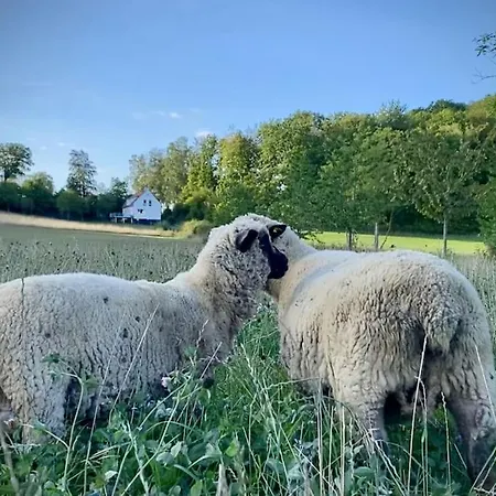 Forsthaus Auf Gut Malberg Ober-Waroldern